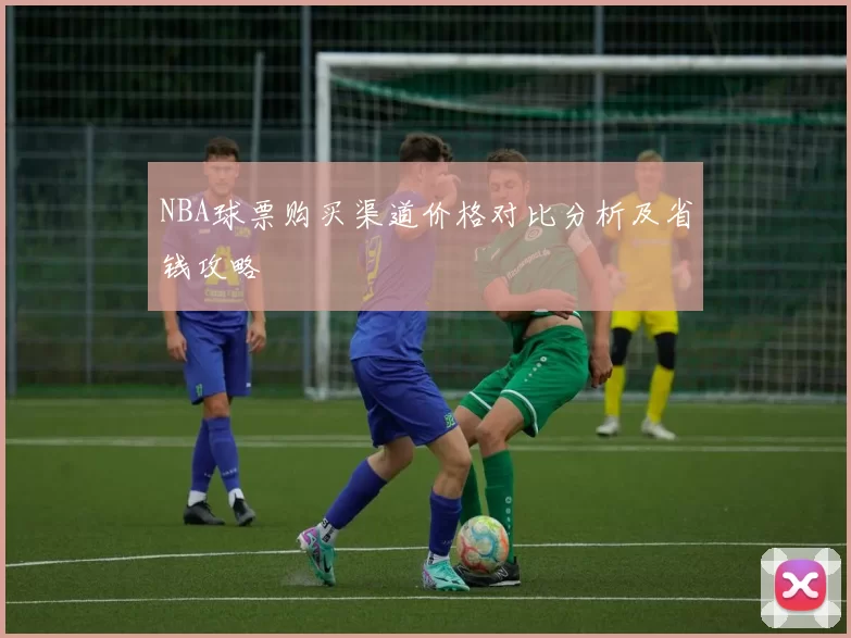 NBA球票购买渠道价格对比分析及省钱攻略