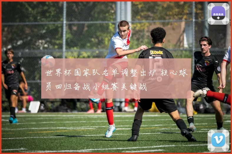 世界杯国家队名单调整出炉 核心球员回归备战小组赛关键战