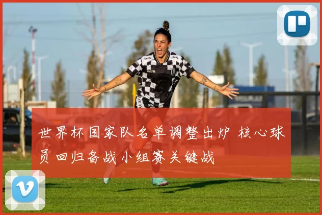 世界杯国家队名单调整出炉 核心球员回归备战小组赛关键战