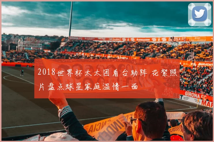 2018世界杯太太团看台助阵 花絮照片盘点球星家庭温情一面