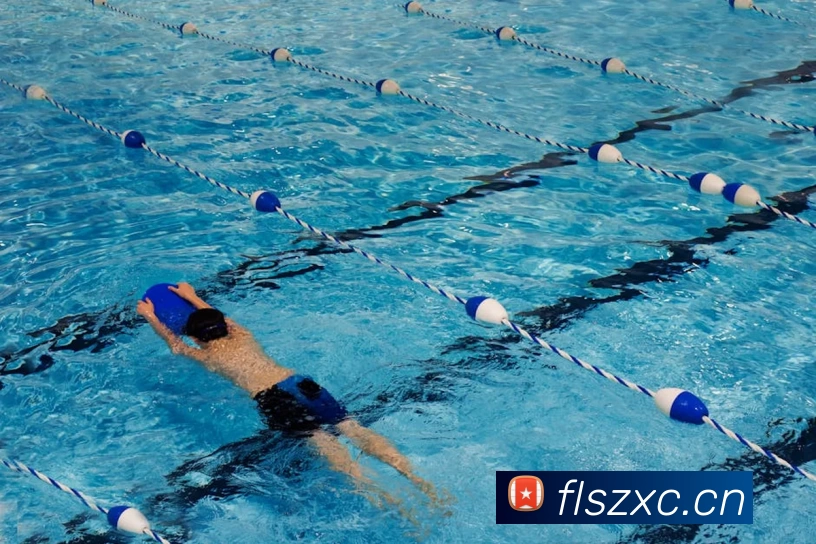 乐鱼网页版登录界面 - leyu(中国)服务体系